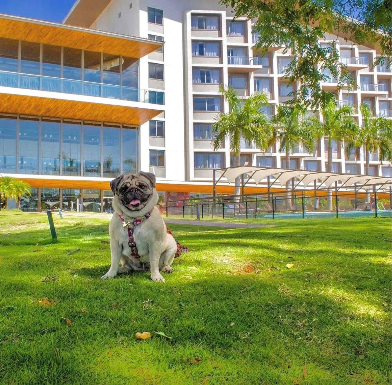 Hotel Novotel Terras De Sao Jose Golf &